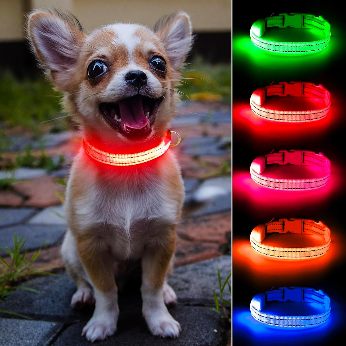 Light up Dog Collar for Small Dogs - Rechargeable LED Cat Collar, Adjustable Reflective Puppy Collar Glowing Safety Dog Lights for Night Walking (Red)