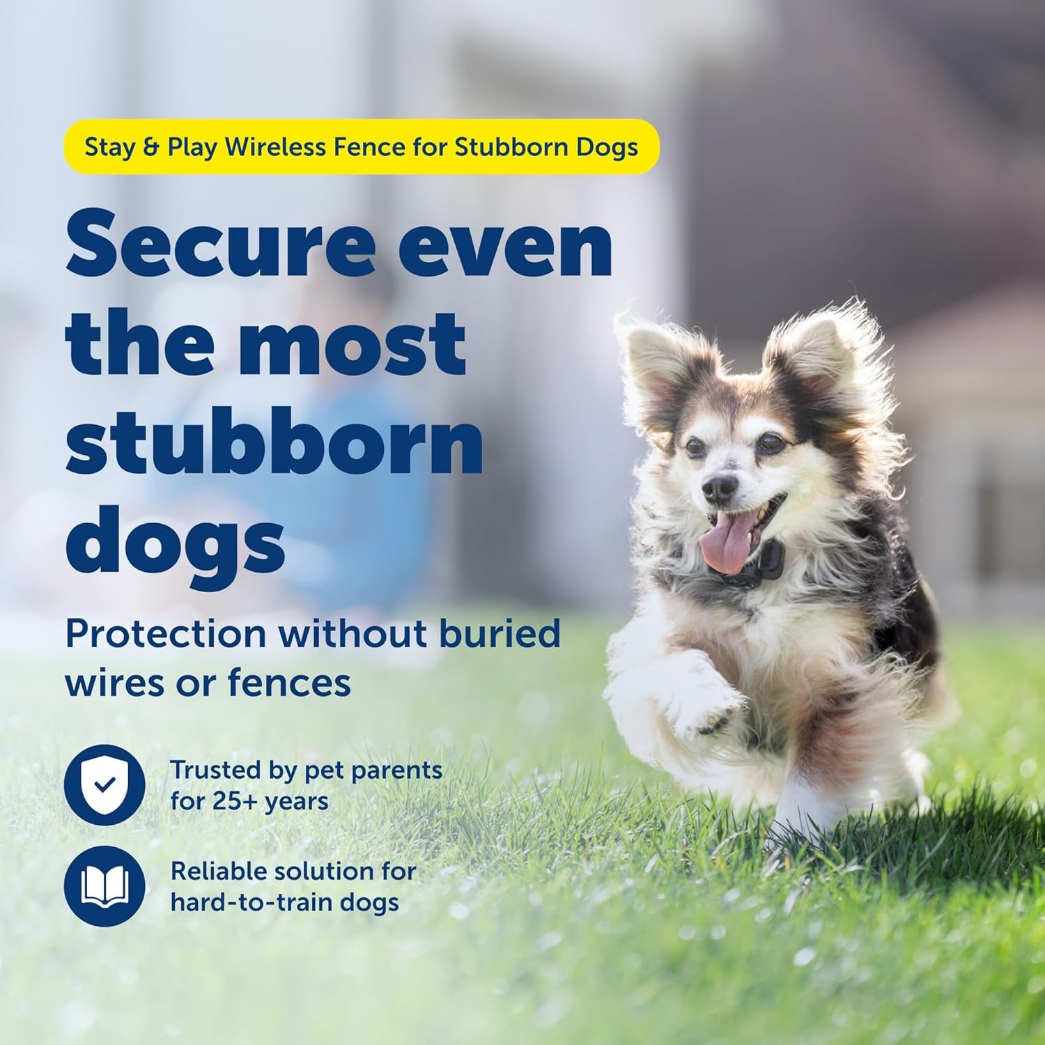 Petsafe Stay & Play Wireless Pet Fence for Stubborn Dogs - No Wire Circular Boundary, Secure 3/4-Acre Yard, for Dogs 5Lbs+, America'S Safest Wireless Containment System