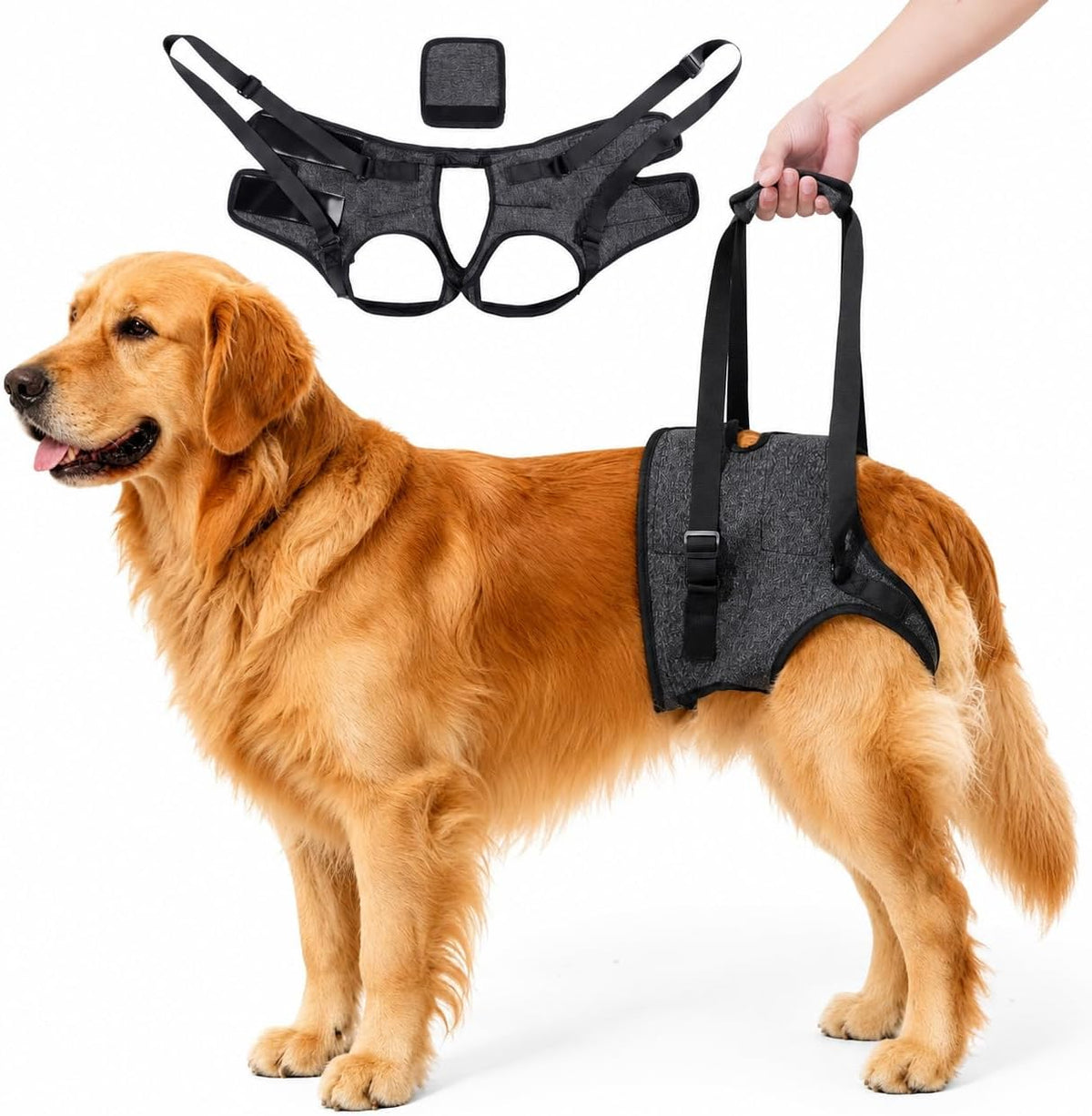 Adjustable Dog Sling for Large Dogs, Hind Leg Support Harness, XL