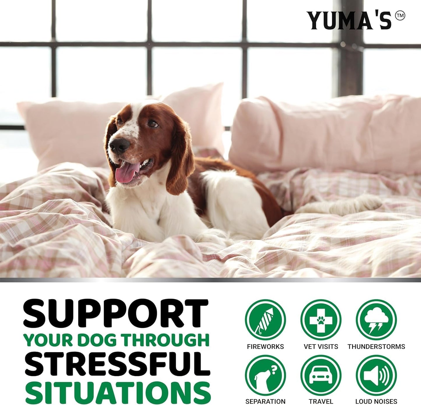 Advanced Calming Chews for Dogs - Hemp Dog Calming Chews - Anxiety Relief Treats with Melatonin, Hemp Oil - Separation Aid, Stress, Hip and Joint Supplement for Canine Health Support - Made in USA