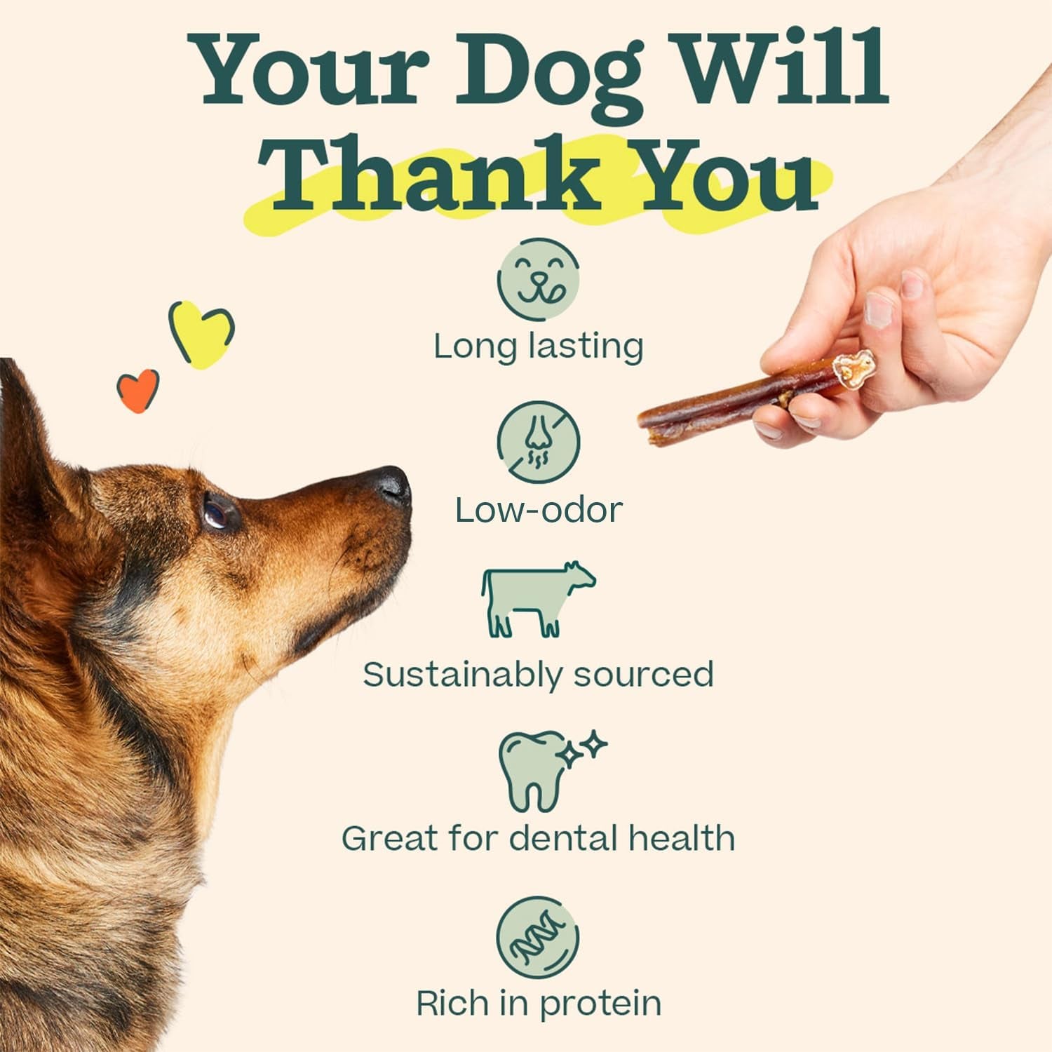 WOOF Bully Sticks Dog Treats - Chew Sticks for Dogs - Long-Lasting Dog Chew Treats - Made with Free-Range, Grass-Fed Beef - 6" Sticks - 10Pk