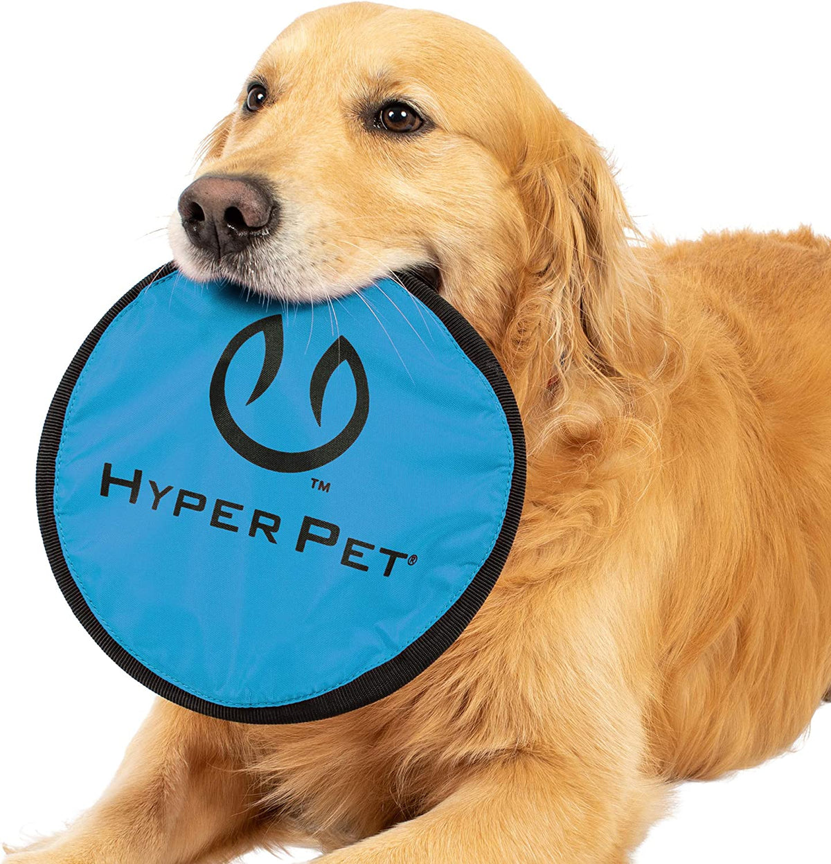 Hyper Pet Flippy Flopper Flying Disc Soft Dog Toy 9 Inch, Floats, 2 Pack