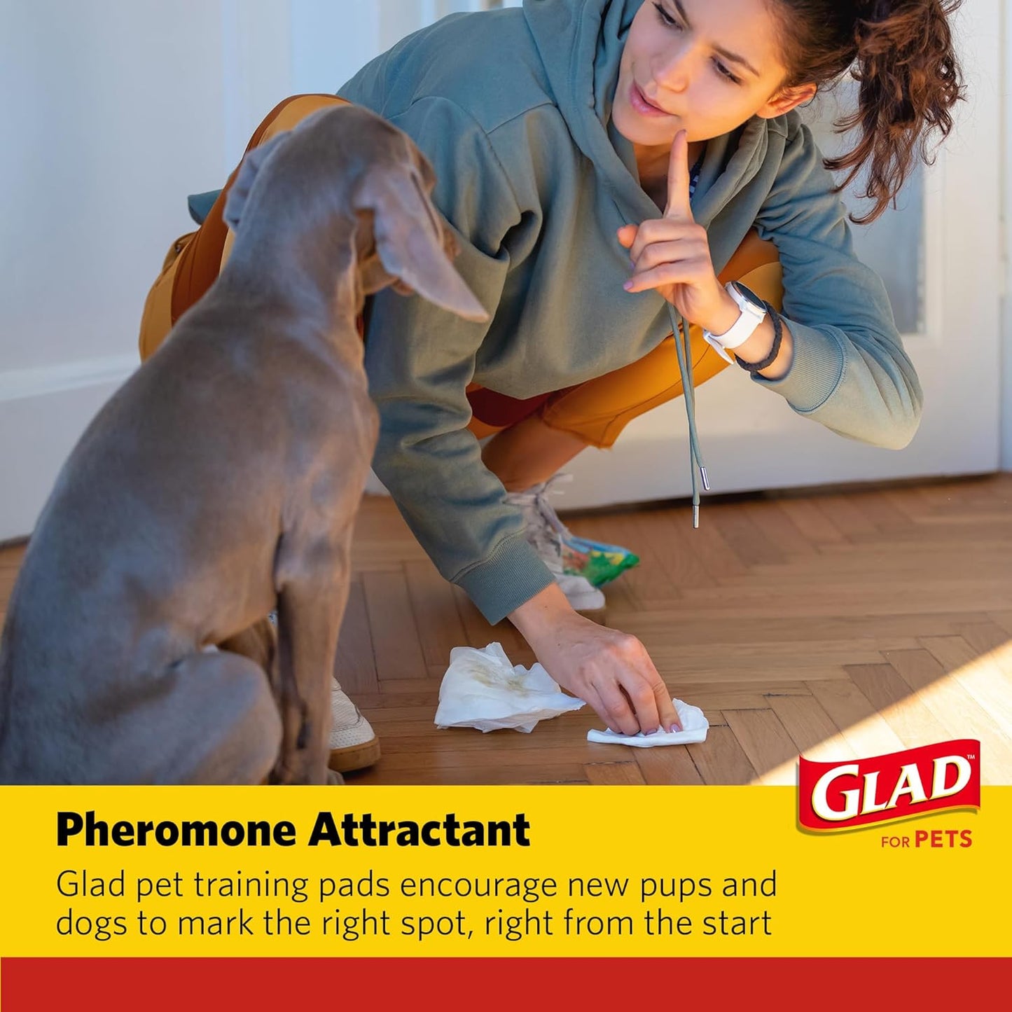 Glad for Pets Day to Night Activated Carbon Puppy Training Pads, Odor Control Disposable Dog Pads with Adhesive and Wall Protection, Leak Proof and Super Absorbent, 30 X 36 Inch, 24 Count