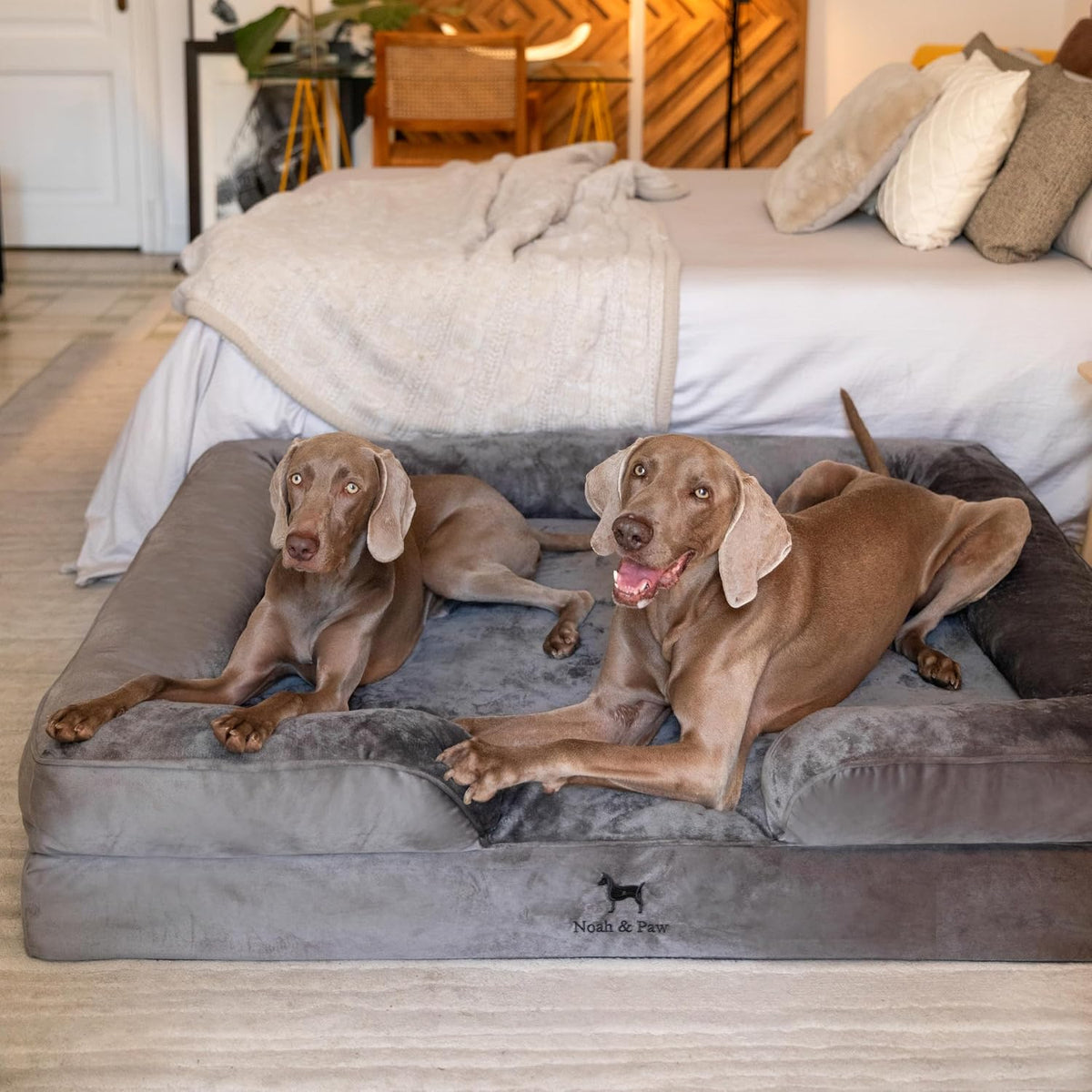 NOAH & PAW Giant Dog Bed XXL, 55X45X11 Inch, Orthopedic Dog Beds, Eggshell Memory Foam Infused with Cooling Gel, Inner Cover, Water Resistant, Machine Washable