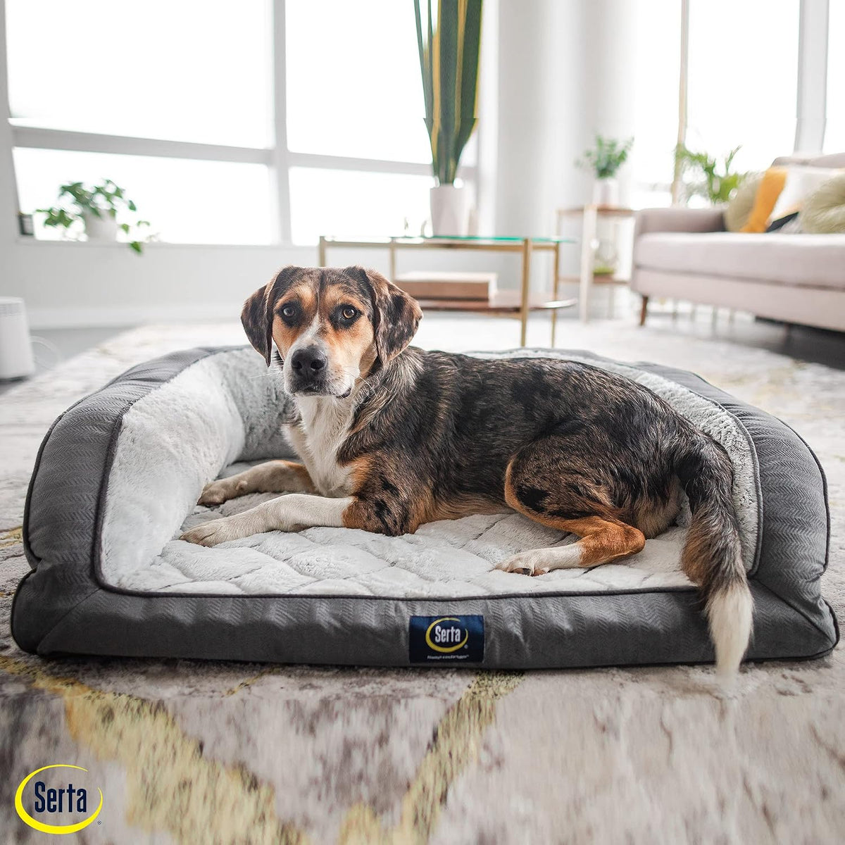 Serta Orthopedic Quilted Couch Dog Bed for Pets – Slate Gray (Large)