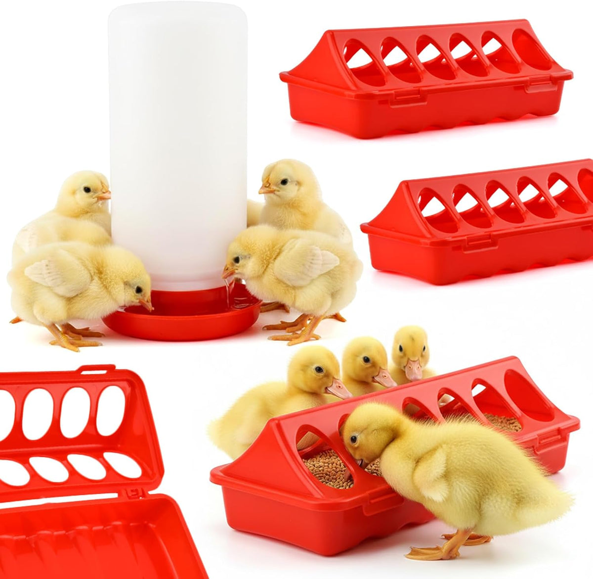 Quail Feeder,Chick Feeder and Waterer Kit,3×12-Hole Feeder Trough