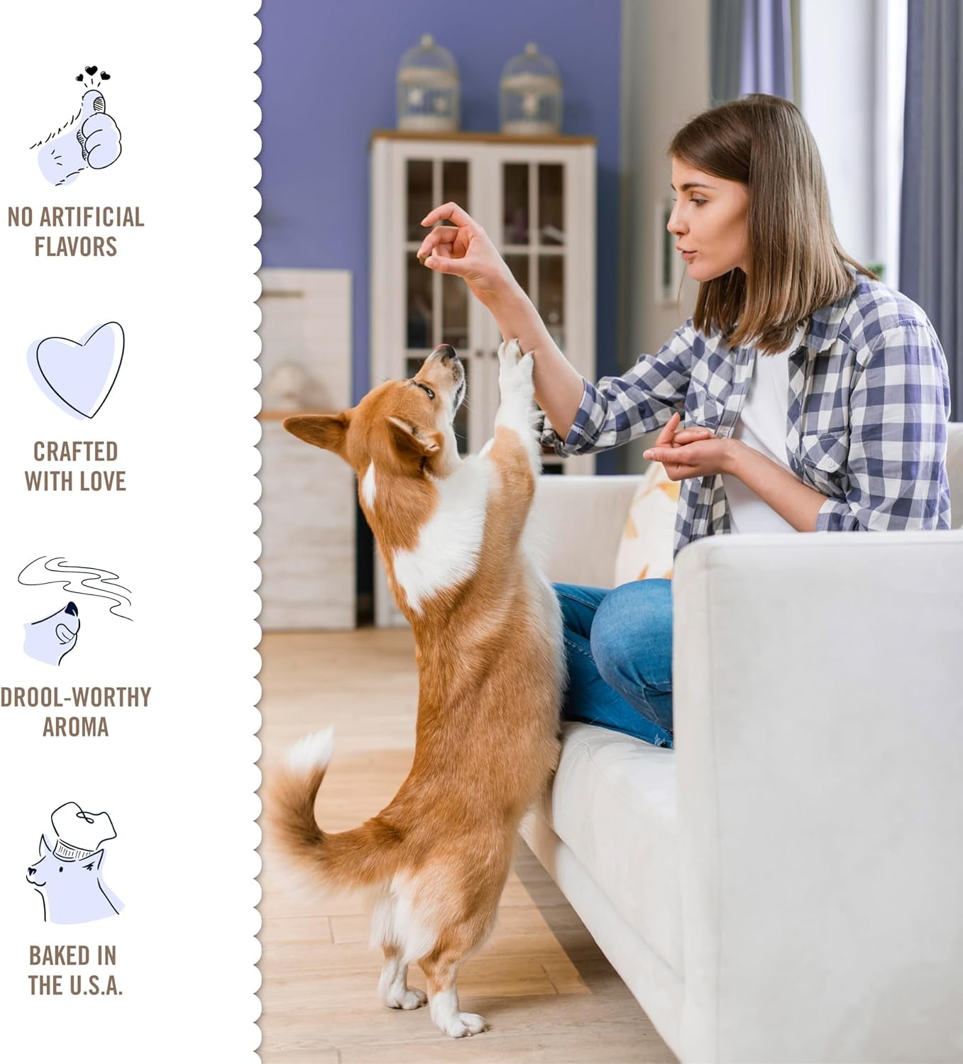 Three Dog Bakery Blueberry Pancake Bites, Treats with Real Blueberries & Vanilla, Mess-Free Snacks & Training Cookies for Dogs & Puppies, Human-Inspired