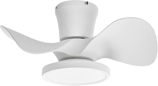 Ocioc Quiet Ceiling Fan with LED Light 22 Inch Large Air Volume Remote Control for Kitchen Bedroom Dining Room Patio