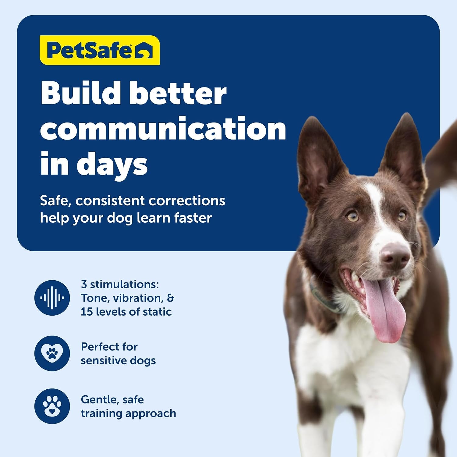 Petsafe 100 Yard Remote Training Collar Smaller Version for Small or Medium Dogs Choose from Tone, Vibration, or 15 Levels of Static Stimulation Short Range Option for Training off Leash Dogs