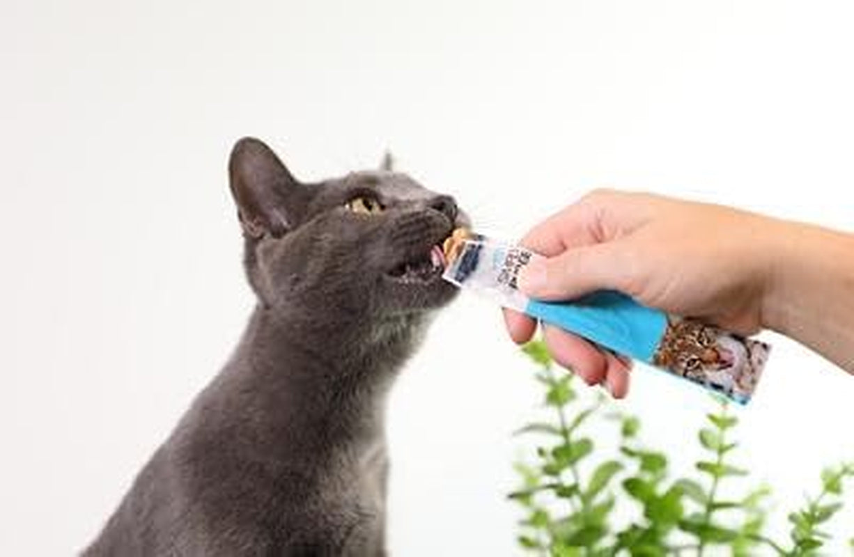Wild Eats Lickable Cat Treats Exotic Fish Variety Pack 12Ct - Ahi Tuna, Wild Pink Salmon, Red Snapper - Puree Bisque