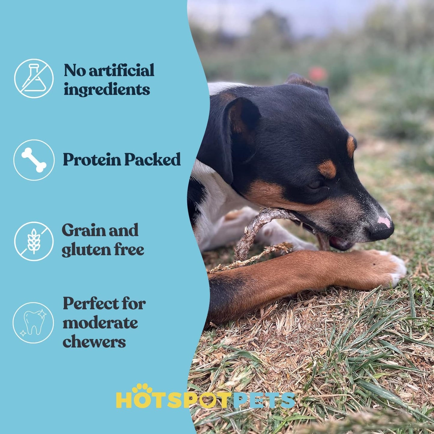 Hotspot Pets Bully Stick Rings for Dogs (5 Pack) 4 Inch Circles- Premium All Natural Long Lasting Beef Pizzle Dog Chew Treats - Low Odor, Grain Free, Fully Digestible, Rawhide Alternative Chews