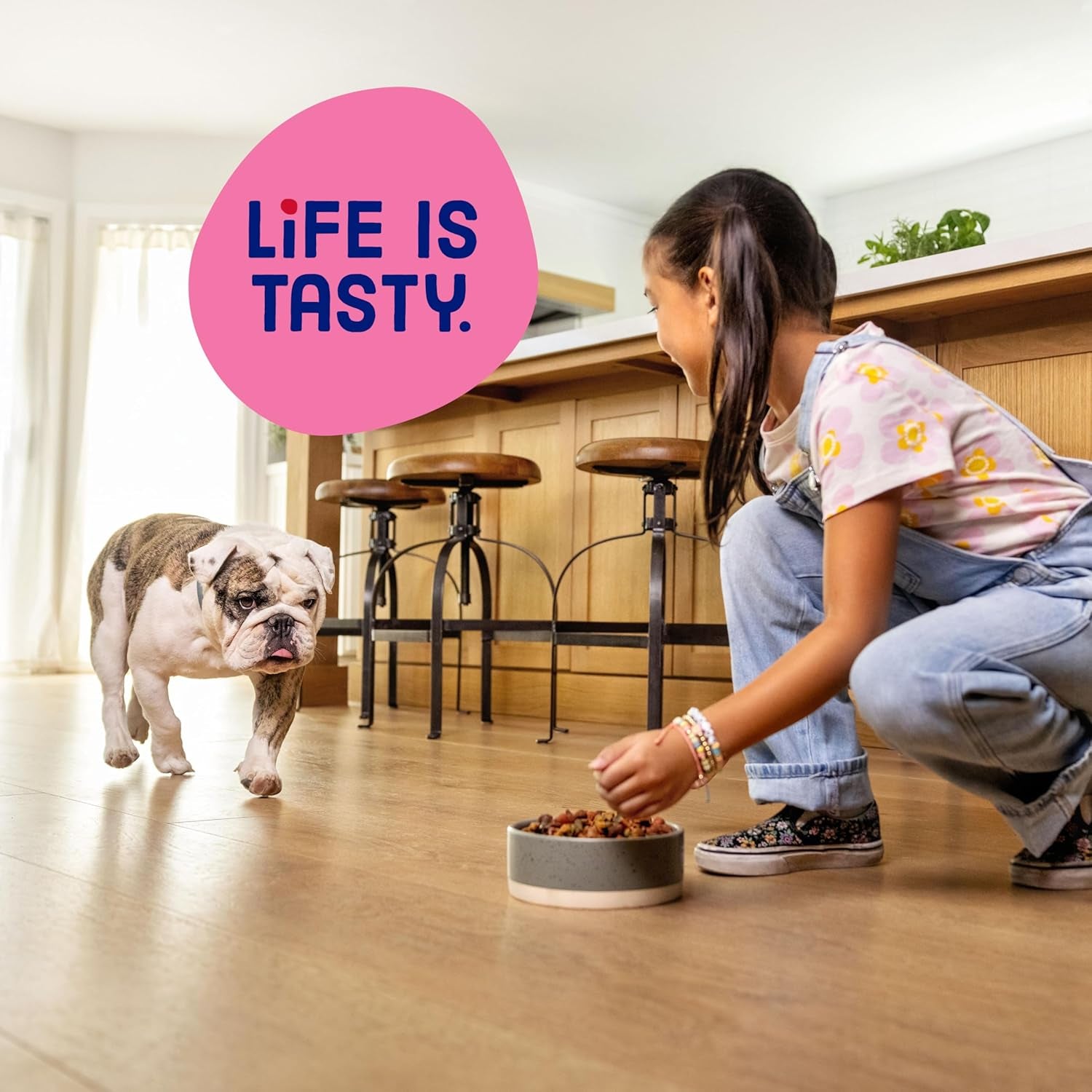 Kibbles 'N Bits Bistro Mini Bits Small Breed Dry Dog Food, Oven Roasted Beef, Spring Vegetable & Apple Flavors for Adult Dogs, 16 Lb. Bag