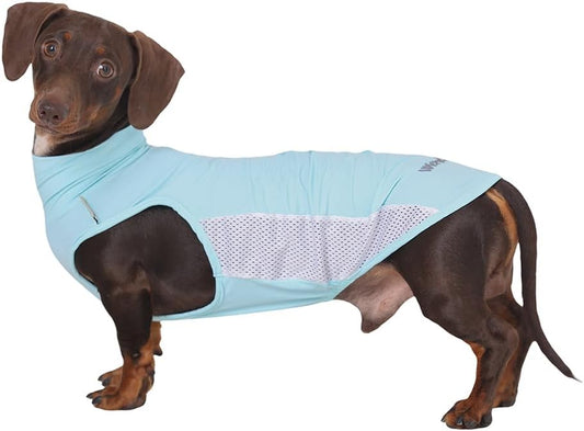 Dachshund Dog Cooling Vest, Breathable Summer Dog Cooling & Quick-Dry Shirt for Outdoor Activities,Mini Dachshund Lightweight Clothes, Vest Small Dogs (Blue, M (12-16 Lbs))