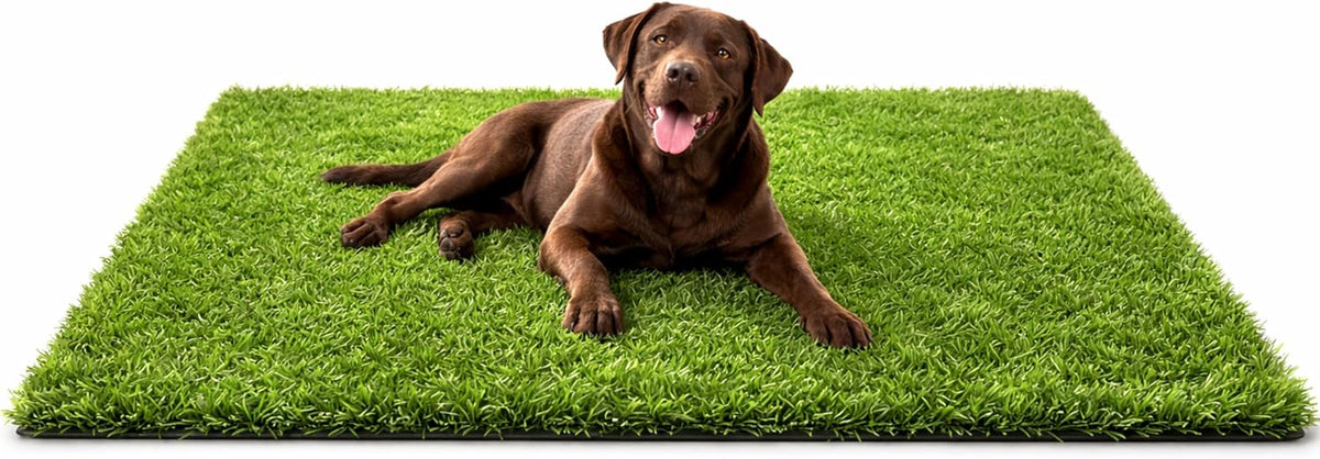 Artificial Grass Mat 59 X 31.5 in – Pet-Friendly Fake Lawn Turf with Drainage Holes for Dog Potty Training, Balcony, Patio & Outdoor Decor