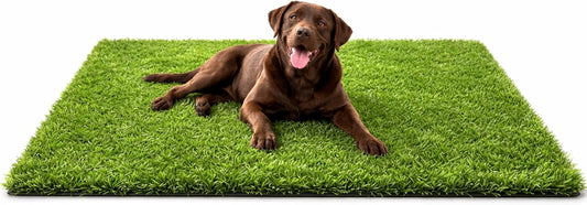 Artificial Grass Mat 59 X 31.5 in – Pet-Friendly Fake Lawn Turf with Drainage Holes for Dog Potty Training, Balcony, Patio & Outdoor Decor