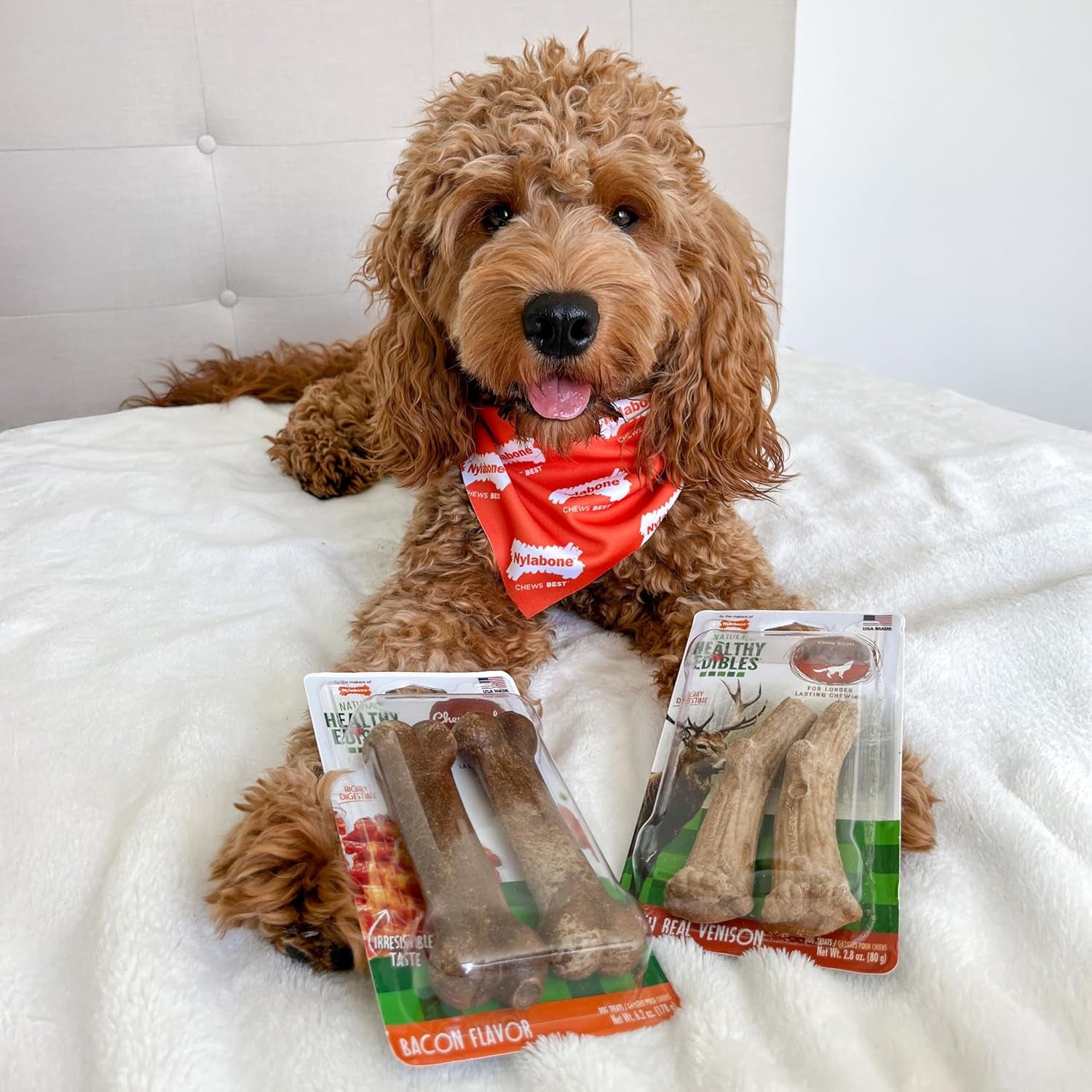 Nylabone Healthy Edibles WILD Natural Dog Chew Treats for Large Dogs, Long Lasting Dog Healthy Chew Antler Bone Made in USA, Venison Flavor, for Dogs up to 50 Lbs. (10 Count)