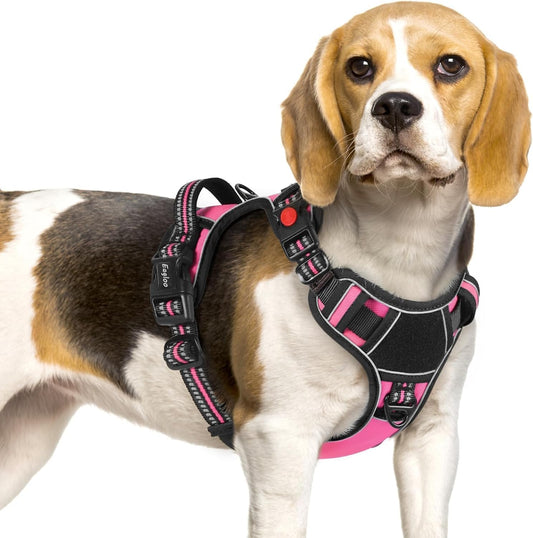 Eagloo Dog Harness No Pull for Small Dogs, Easy on & off with 3 Buckles