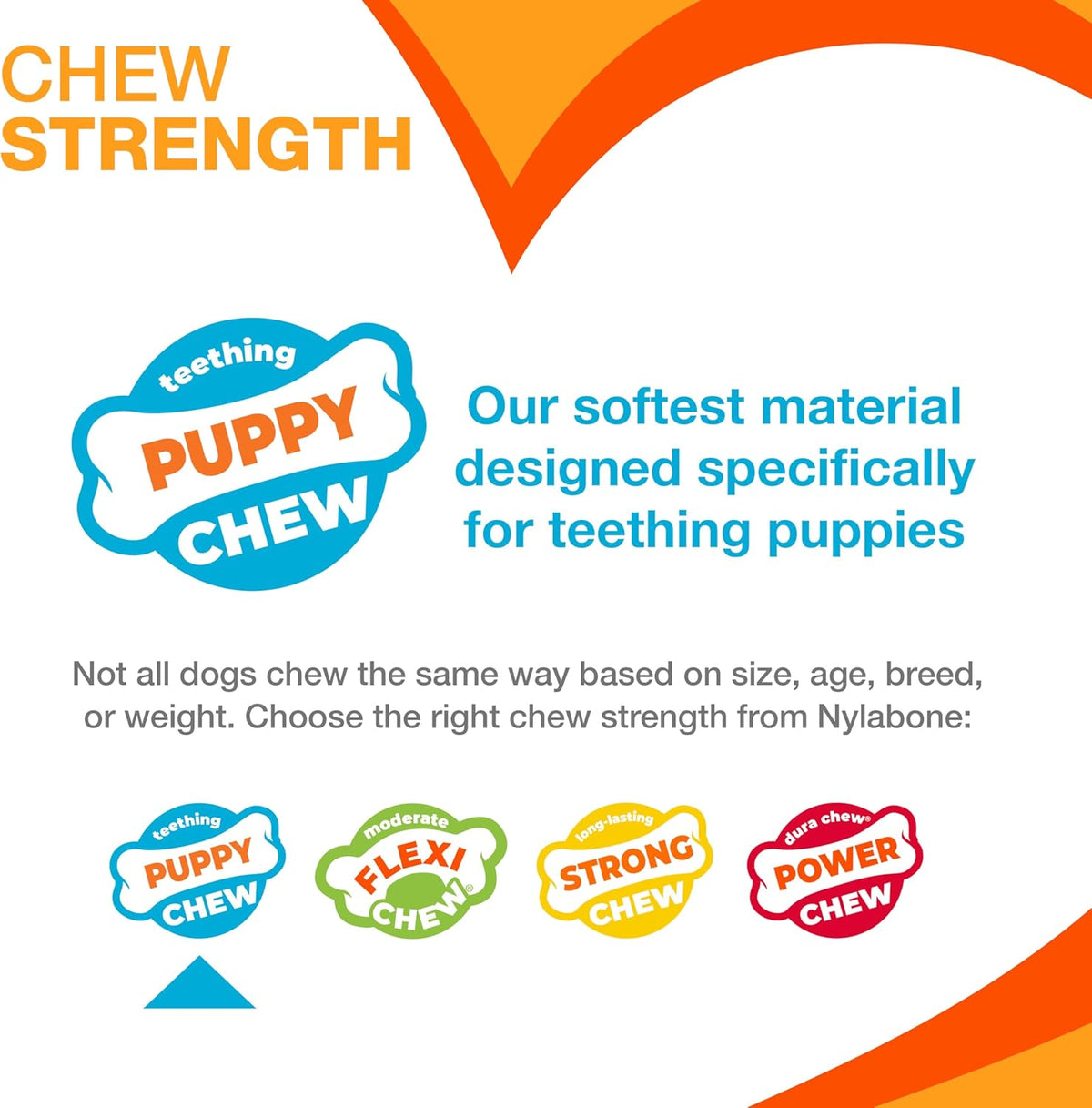 Nylabone Puppy Chew 2-In-1 Teething Freezer Bone Dog Chew Toy, Small