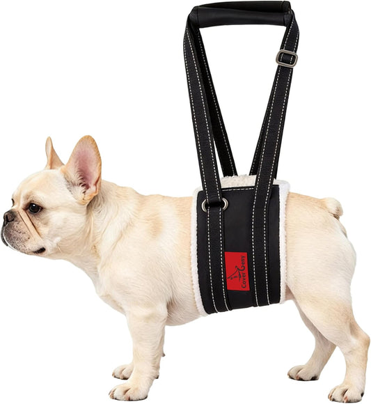 Dog Lift Harness - Cover Geny Adjustable Sling for Rear Legs with Soft Support for Senior, Injured, Disabled Dogs after ACL Surgery - Helping Pets with Canine Aid and Rehab Support (XS)