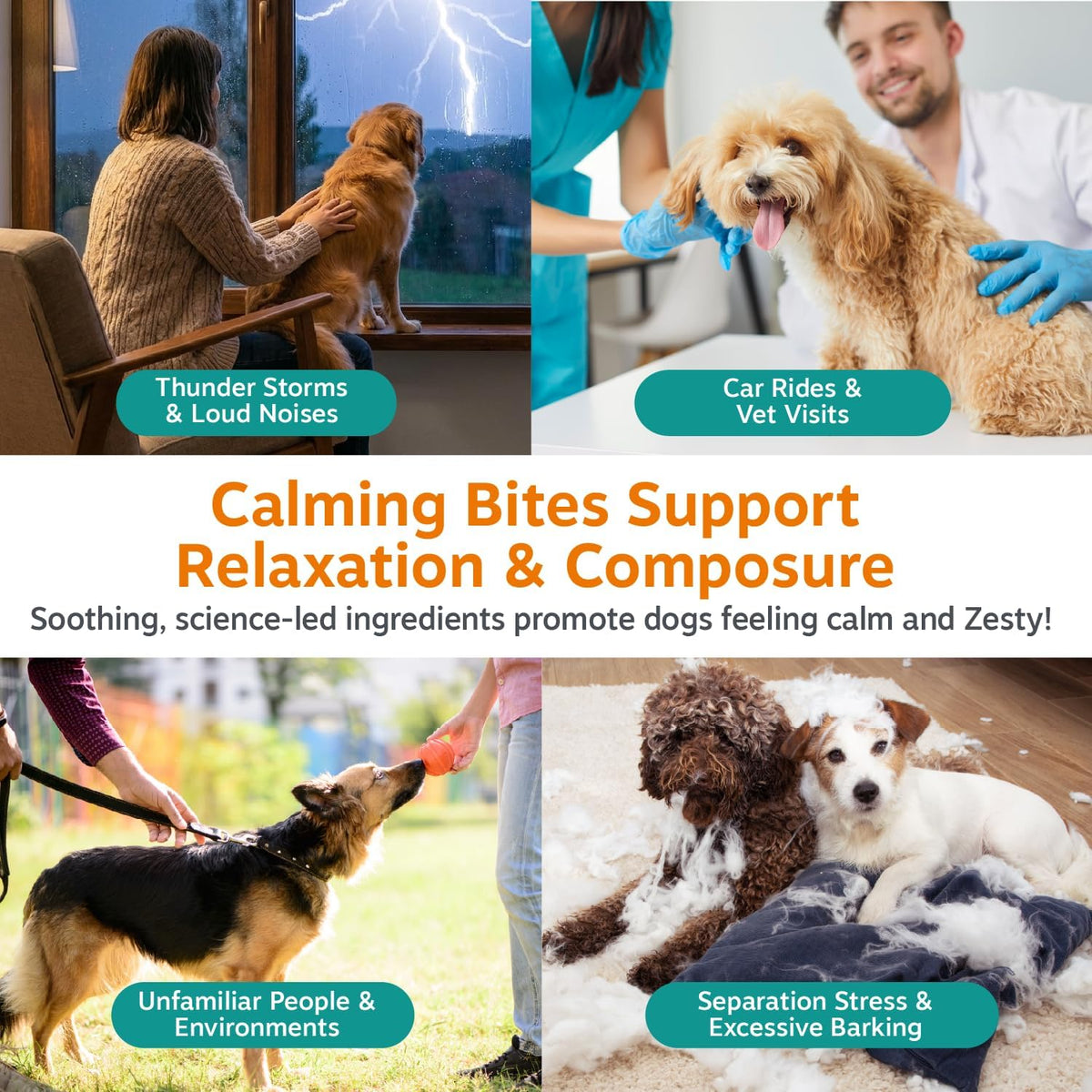 Zesty Paws Vet Strength Calming Chews for Dogs - Dog Calming, 90 Ct
