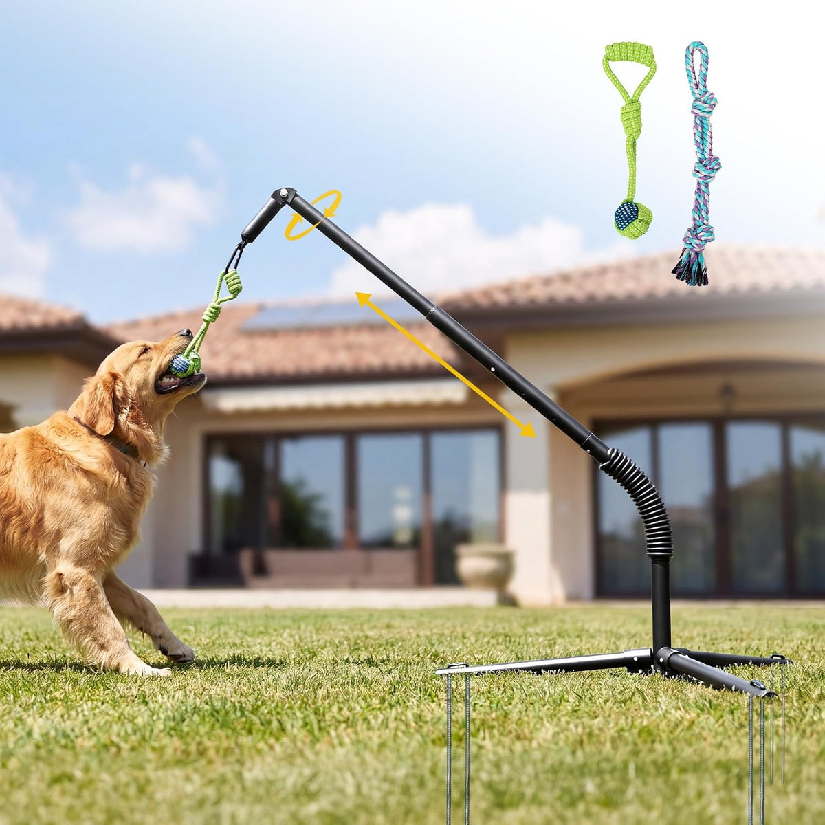 CATISM Tether Tug Dog Toy, Heavy Duty 35-48 in Spring Pole with Stakes