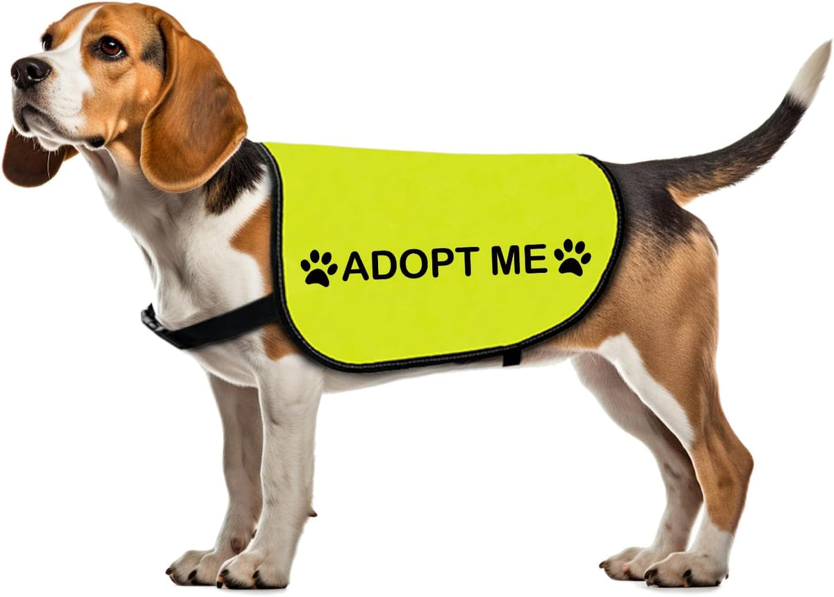 Rescue Dog Jacket Vest Adopt Me Pet Vest Foster Dog Slogan Vest (Adopt Me-Small)