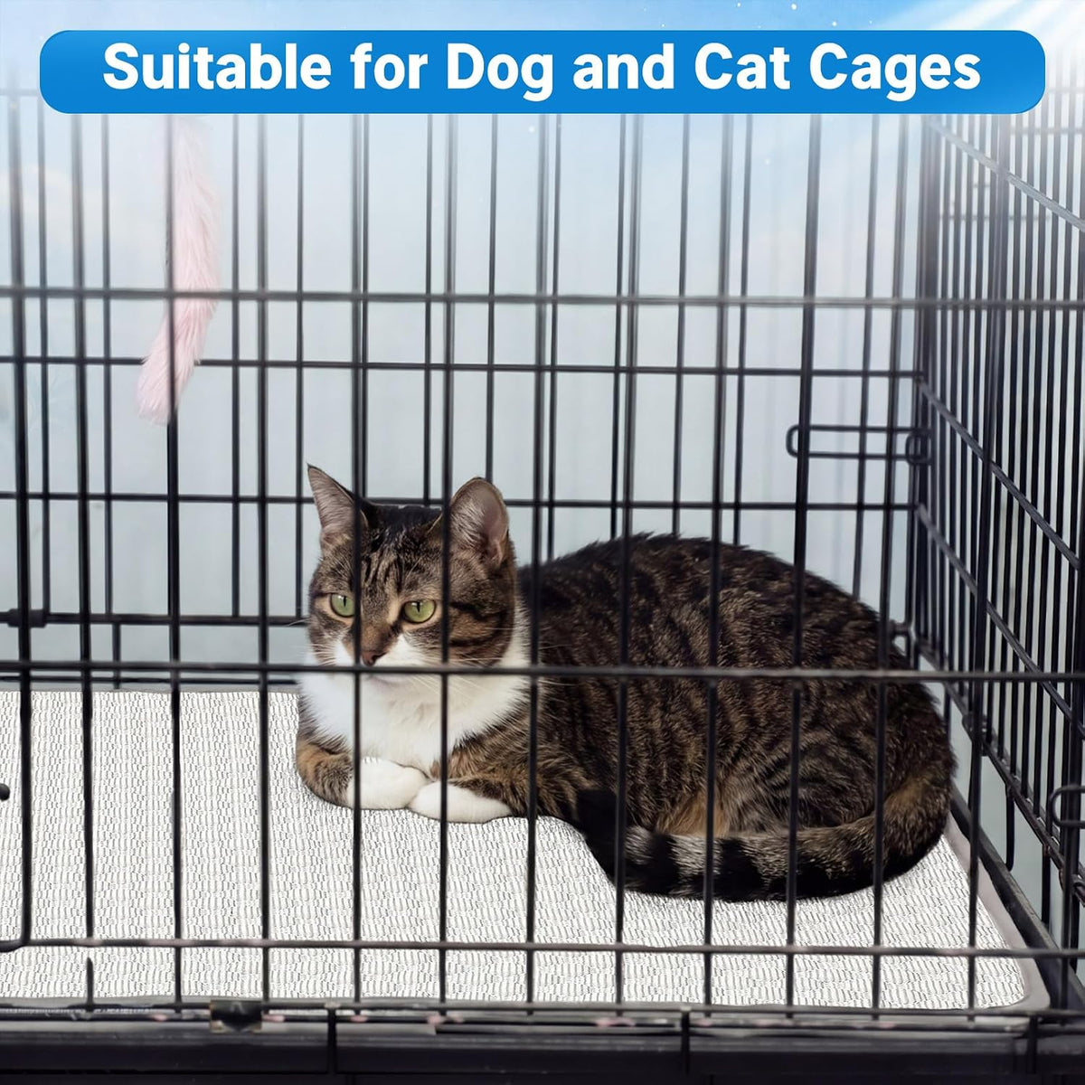 2 Pack Dog Cooling Mat Washable Self Cooling Pet Pad for Cats Dogs, Ice Silk Cold Kennel Crate Mat with Chill Fiber for Summer Indoor Outdoor Pet Sleeping (59 X 39 Inches,Extra Large)