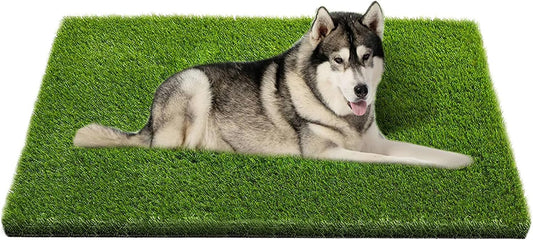 Coozero Artificial Grass, 47.3"X31.5" Professional Dog Grass Mat, Potty Training Rug and Replacement Turf Outdoor Rug Patio Lawn Decoration, Easy to Clean with Drainage Holes(47.3X31.5 Inches)
