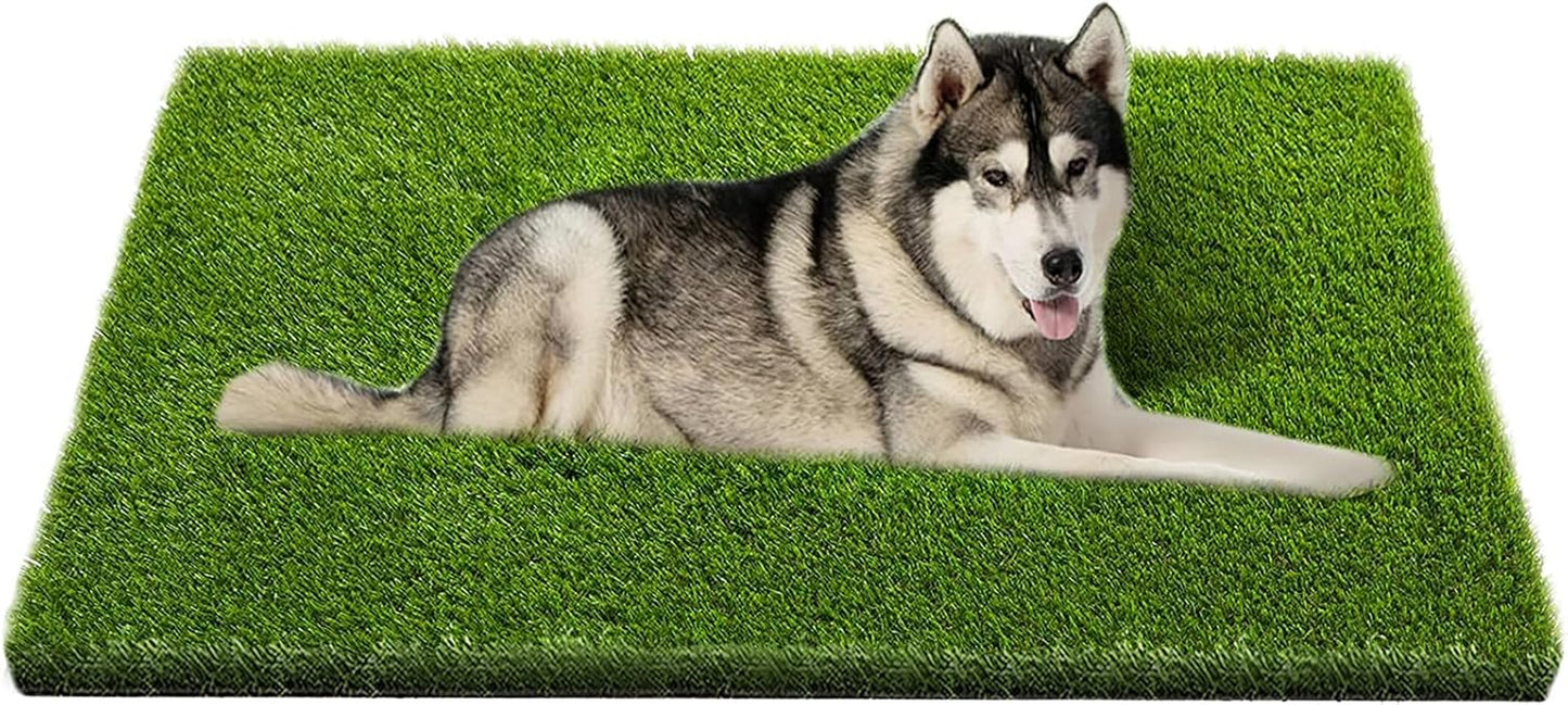 Coozero Artificial Grass, 47.3"X31.5" Professional Dog Grass Mat, Potty Training Rug and Replacement Turf Outdoor Rug Patio Lawn Decoration, Easy to Clean with Drainage Holes(47.3X31.5 Inches)