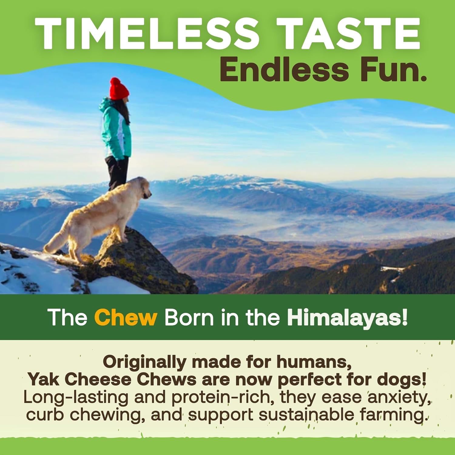 Ecokind Premium Gold Yak Cheese Himalayan Dog Chews, Dog Treats Large Breed, All Natural, High Protein, for Aggressive Chewers, Large - 4 Chews (1 Lb)