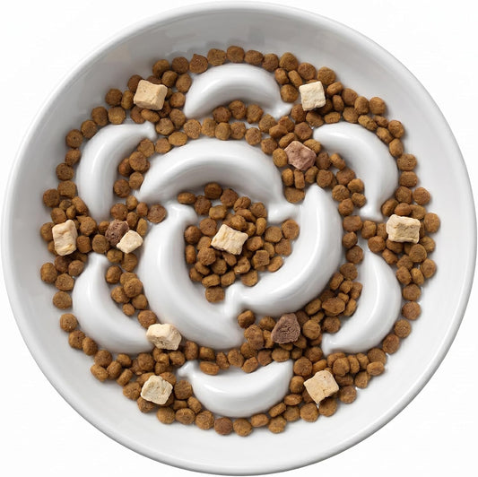 Ceramic Slow Feeder Cat Bowl, 6.3'' Wide Whisker Friendly Cat Puzzle Feeder