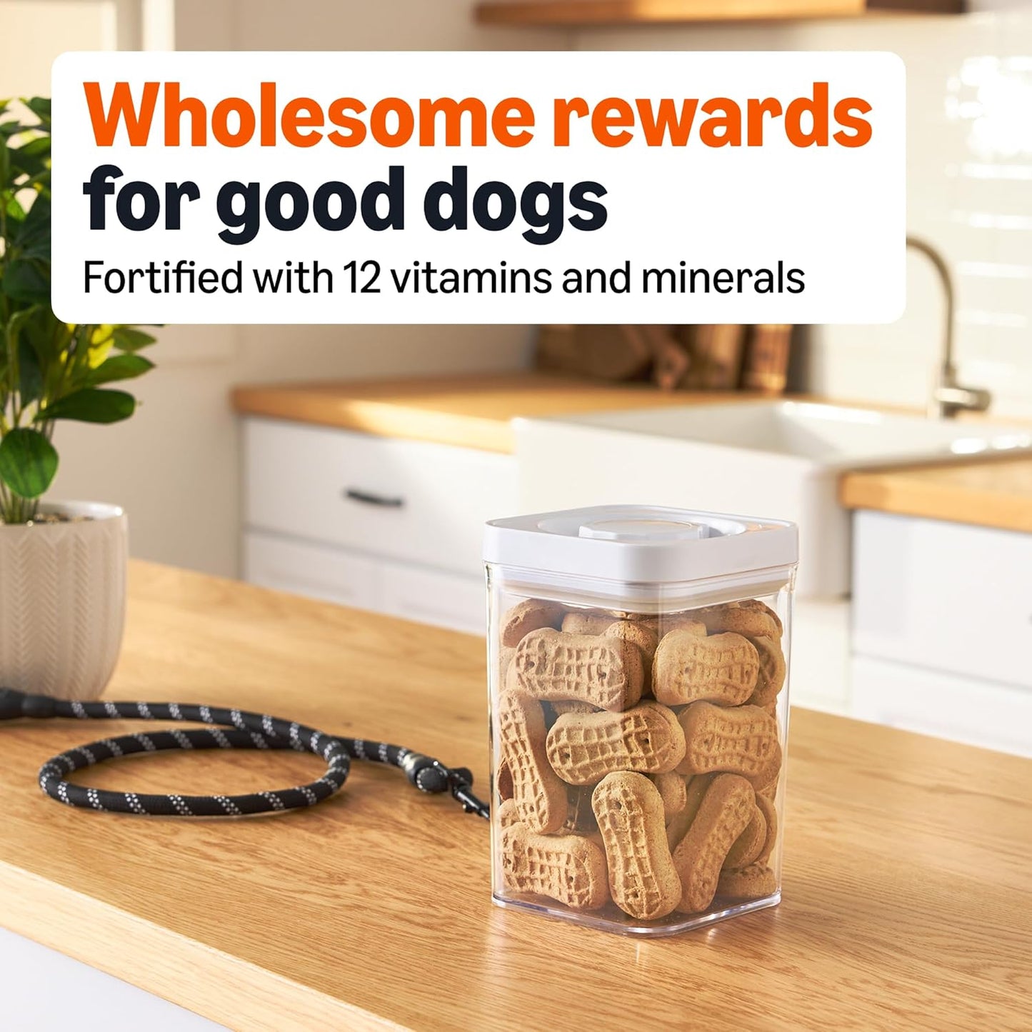 Amazon Basics Crunchy Dog Biscuits Peanut Butter Flavor Dog Treats 5 Lb. Box