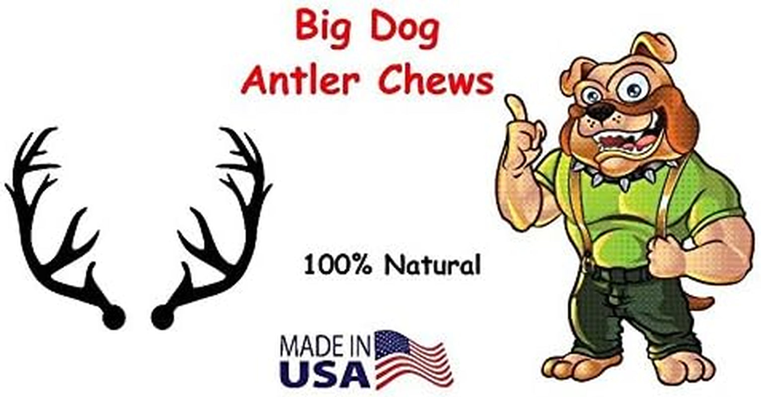 XL Deer Antler Dog Chew - Extra Large, Jumbo, for Large Dogs and Puppies Who Are Aggressive Chewers
