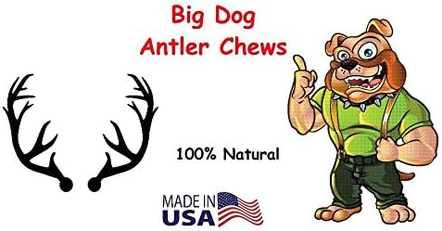 Premium Deer Antler Pieces - Dog Chews - Antlers by the Pound, One Pound - Six Inches or Longer - Medium, Large and XL - Happy Dog Guarantee!