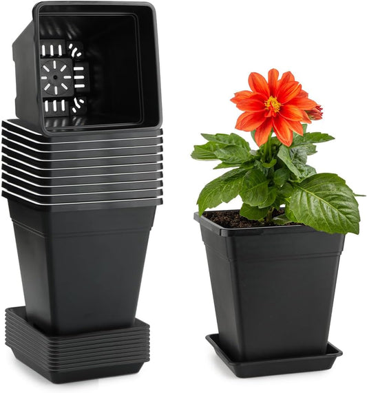 6 Inch Plant Pots, 10 Pack Flower Pots Outdoor Indoor, Square Plastic Planter with Drainage Holes and Saucers, 0.5 Gallon Planter Pots for Plants Deep Capacity Garden Pot Container with Tray