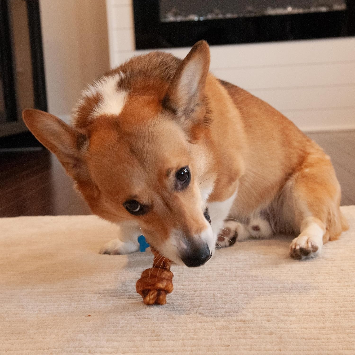 Nothin' to Hide Collagen-Based Dog Chews Small Knotted Bones, Beef Flavor, Easily Digestible, Supports Skin, Coat, Joints & Muscles, for Moderate Chewers under 15Lbs, 4In, 3 Pieces