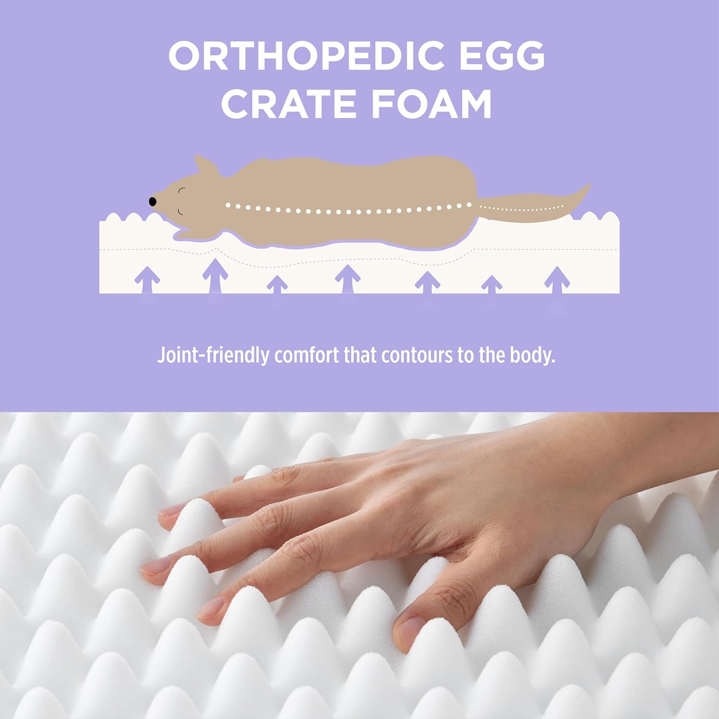 Cute Orthopedic Dog Bed for Extra Large Dogs, XL Waterproof Chic Flat Pet Beds with Removable Washable Cover, Fuzzy Thick Egg Crate Foam Pet Mat for Indoor Use (44" X 32", Cream)
