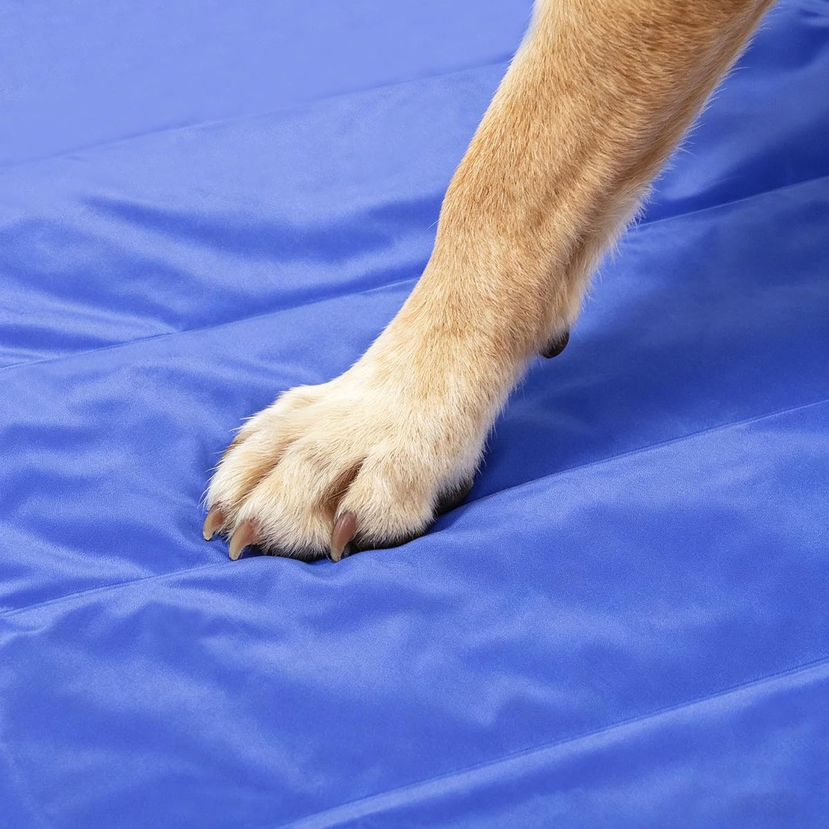 Dog Cooling Mat, 45X31.5 Inches
