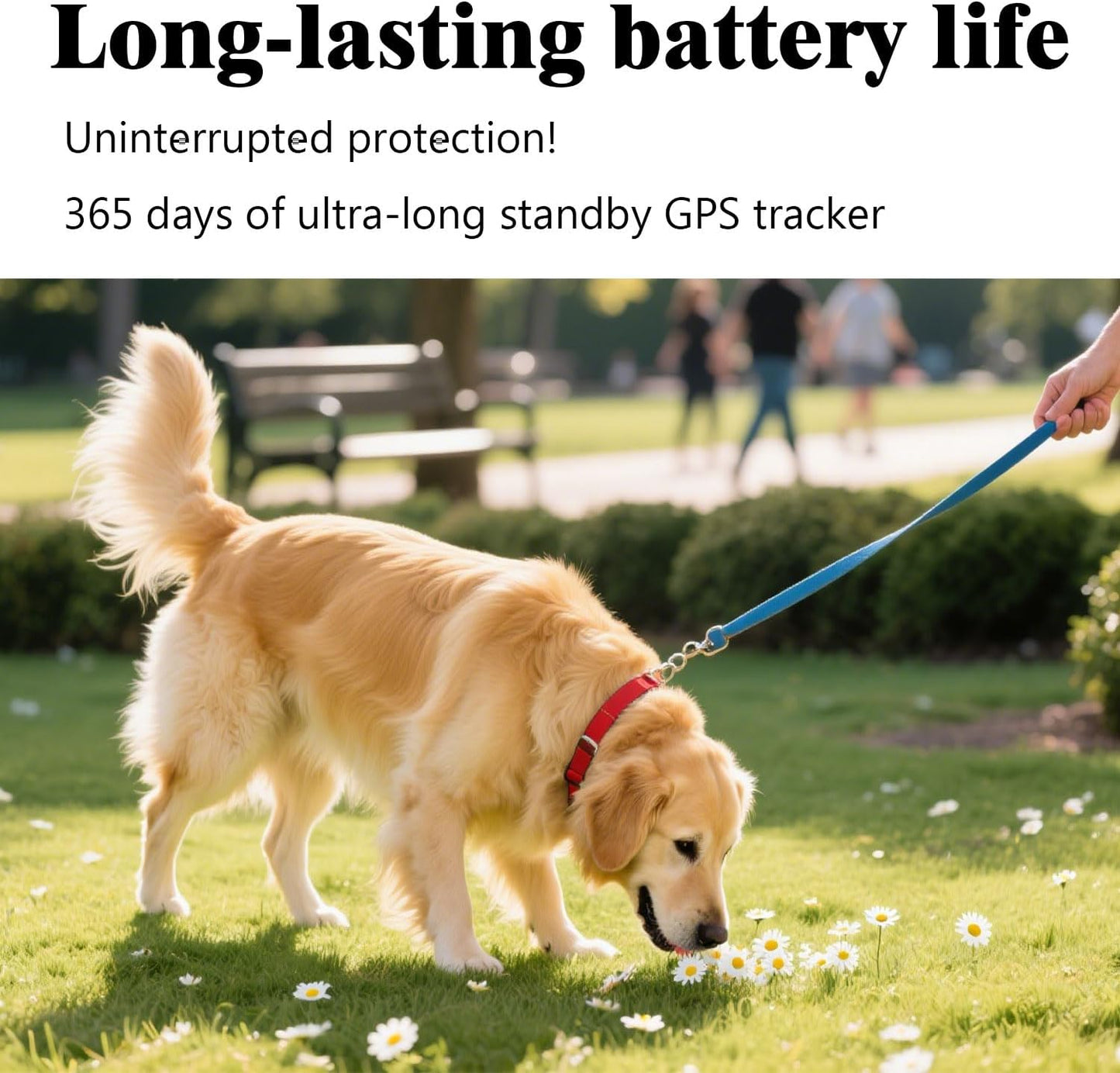 GPS Tracker for Dogs, Mini Cat Tracker, Smart Pet Tracker, Real-Time Tracking & Anti-Lost Alerts, No Monthly Fee, No SIM Card, Waterproof & Drop-Proof, 730-Day Battery Life, Works with Ios & Android