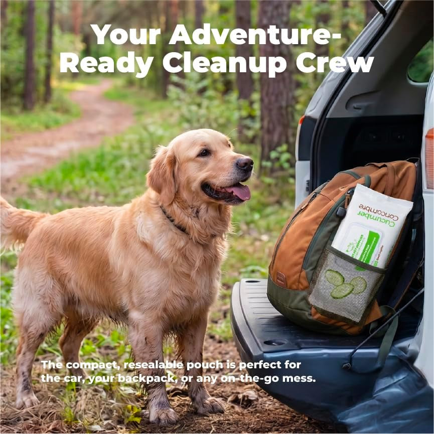 Best Pet Supplies 8" X 9" Large Dog Wipes - Cleaning and Deodorizing for Paws and Coat - Gentle Formula with Lavender Vitamin E for Puppies and Cats - 100 Count