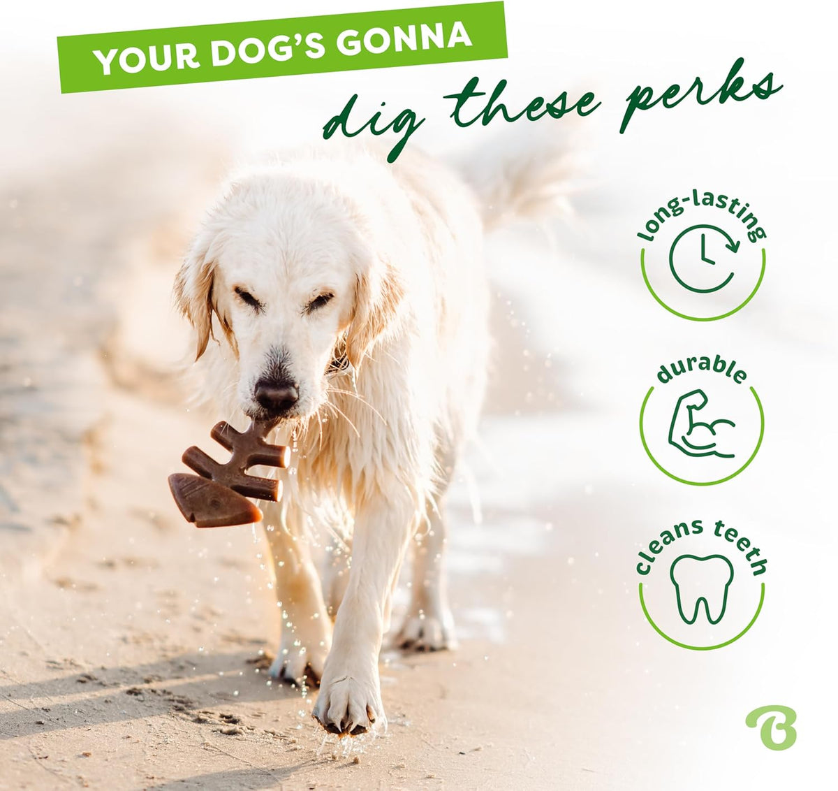 Benebone Fishbone Durable Dog Chew Toy for Aggressive Chewers, Medium