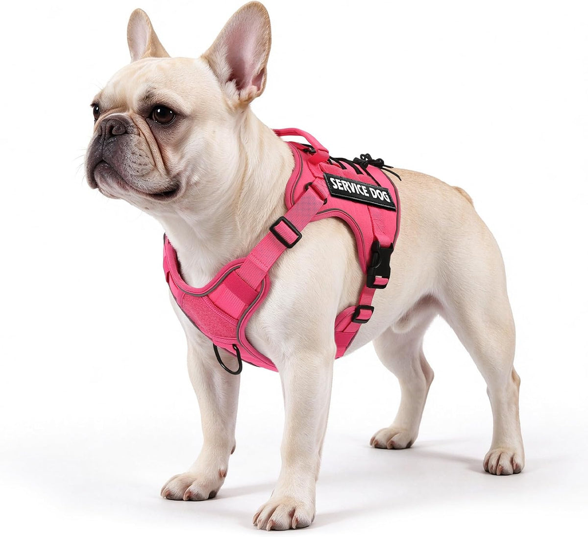 Tactical Dog Harness for Small Dogs, Heavy Duty No Pull Service Vest with Handle & Molle, Adjustable Reflective Pet Vest for French Bulldog, Pug, Walking, Training, Hunting, Hot Pink (S)