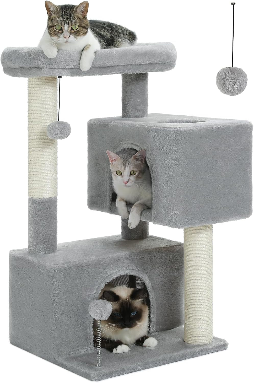 Small Cat Tree for Kittens, 32 in Cat Tower with 2 Cozy Condos