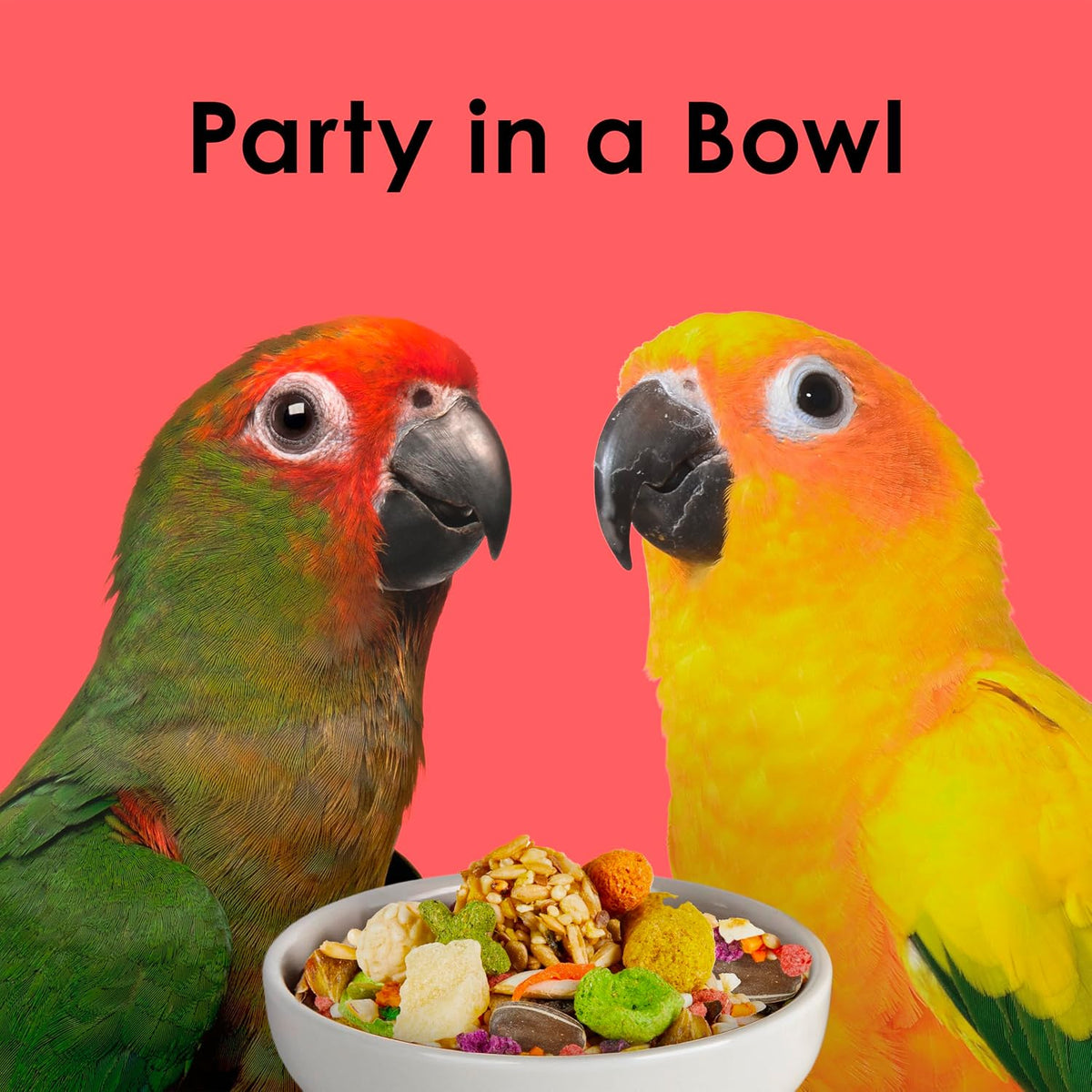 Kaytee Fiesta Conure Bird Food, Nutritious Fun Blend, 4.5 Pounds