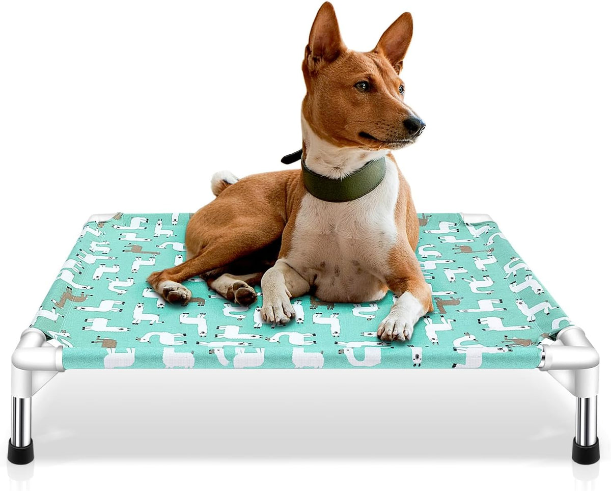 Elevated Dog Bed Pet Cot - Pet Bed for Medium Dogs | Raised Pet Bed