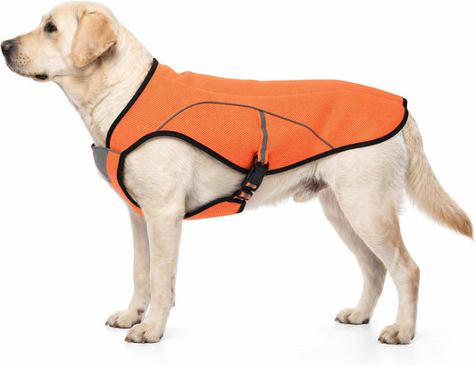 Evaporative Dog Cooling Vest for Hot Weather (Aurantium, X-Large)
