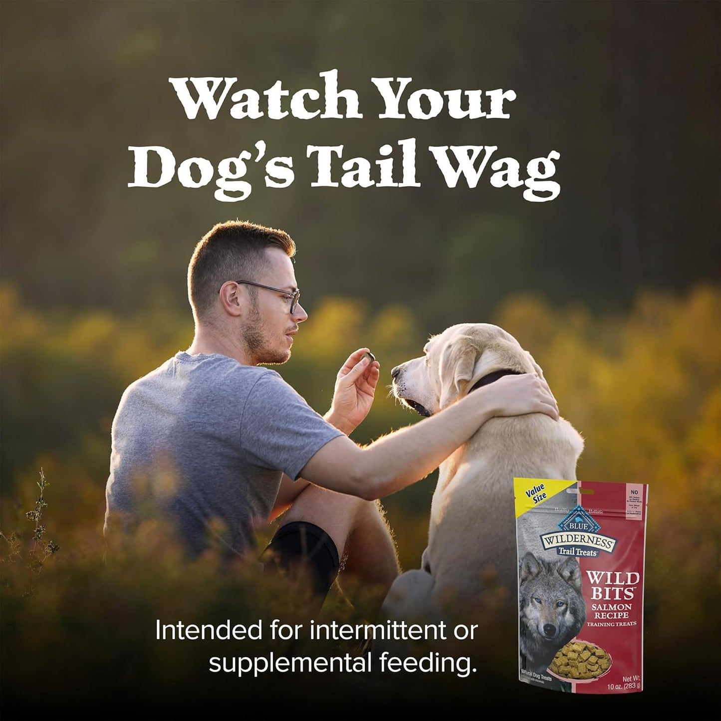 Blue Buffalo Wilderness Trail Treats Wild Bits Training Treats for Dogs, Grain-Free Dog Treats, Salmon Recipe, 10-Oz. Bag