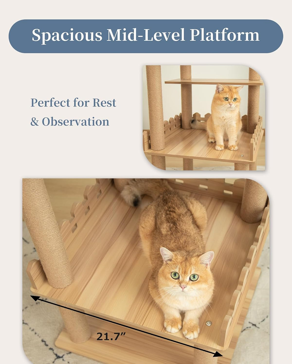Wood Cat Tree for Indoor Cats, 49 Inch Cats Furniture Tower with Large Platforms, Full Sisal Scratching Posts, Water Proof Surface