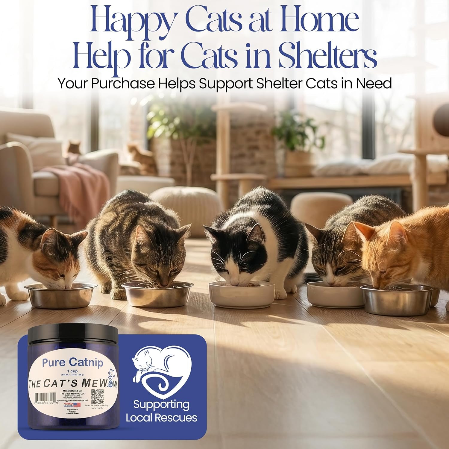 The Cat'S Mewow 100% Pure Catnip – North American Grown – Strong Aroma for Play & Enrichment – Resealable Freshness Jar – Veteran-Owned Brand