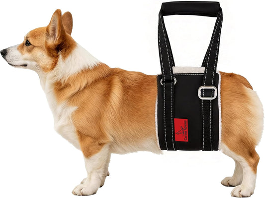 Leather Dog Lift Harness for Small Dogs, Doggie Walking Sling, Dog Sling Belly Support Strap, Pet Assist Harness for Senior,Injured,Disabled Dogs after ACL Surgery S